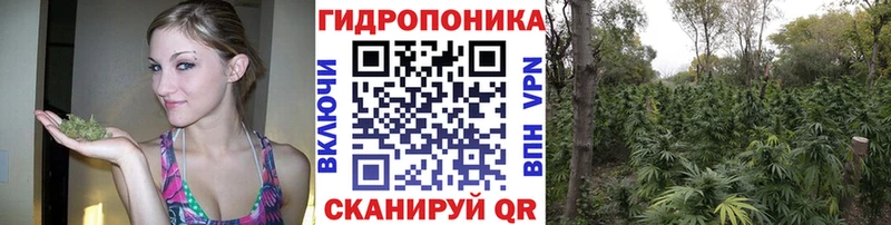 Где купить наркоту Великий Устюг СК  ГАШ  Конопля  АМФ  hydra ССЫЛКА  Кокаин  Псилоцибиновые грибы 