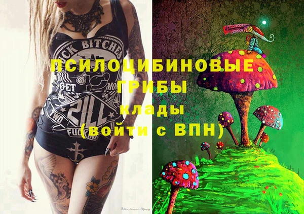 дживик Беломорск
