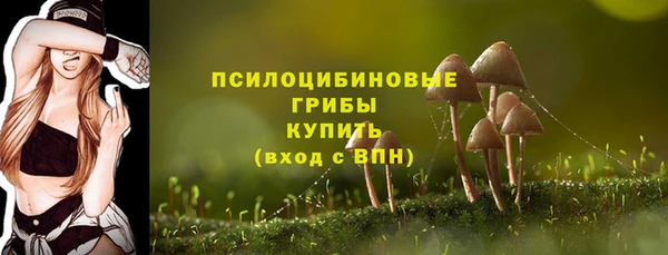 экстази Баксан