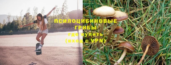 ALPHA-PVP Белокуриха