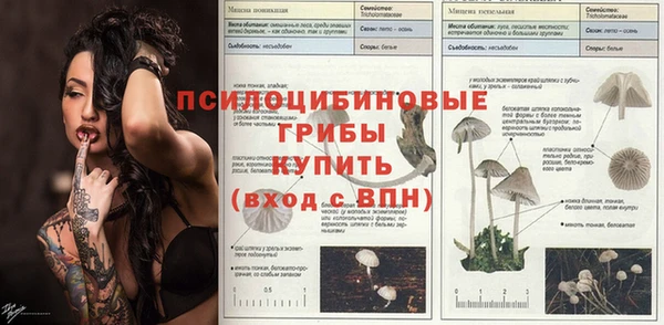 ALPHA-PVP Белокуриха