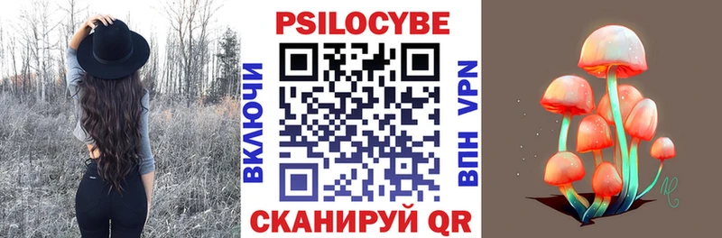 Галлюциногенные грибы Psilocybine cubensis  Великий Устюг 